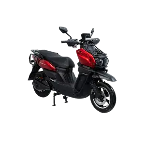 Two-wheeled Electric Bike :Model: Display