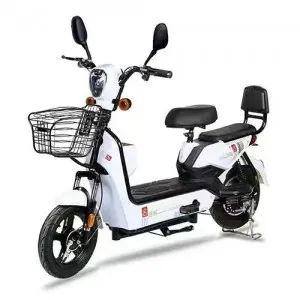 Two-wheeled Electric Bike :Model: Gold Egle