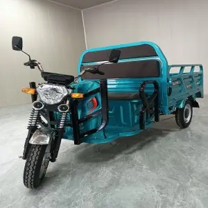 Hot Selling Cargo Electric Tricycle 1.6m Standard (Overbearing Door Invisible Backrest)