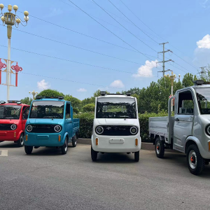 Mini Dump Truck