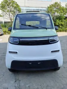Electric four -wheel car Fully Enclosed  Passenger  Family Use（CJ-Dk02)