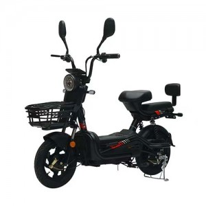 Two-wheeled Electric Bike :Model: Elegance
