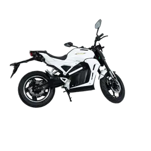 Two-wheeled Electric Bike :Model: Display