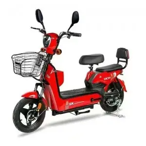 Two-wheeled Electric Bike :Model: Gold Egle