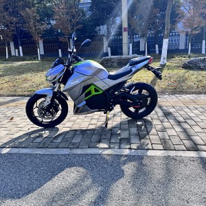 Two-wheeled Electric Bike :Model: Constrictor
