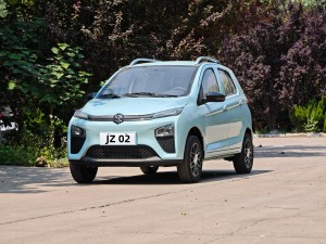 Color Customized Cheap Price High Speed Electric Vehicle（JZ 02)
