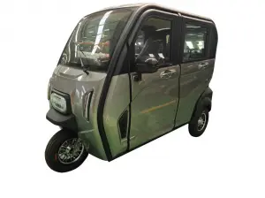 Electric Tricycle Fully Enclosed Trike Passenger Tricycle for Family Use（DK12)