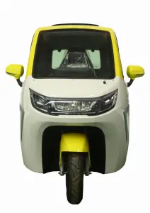 Electric Tricycle Fully Enclosed Trike Passenger Tricycle for Family Use（NG-D06)