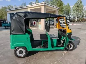 Electric Three-Wheel Passenge Tuktuk Taxi