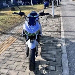 Two-wheeled Electric Bike :Model: Constrictor