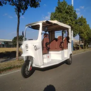 New Model 3 Wheels Electric Passenger Tricycles Three Wheel for Adult(Audi Face Tricycle(6-seater)