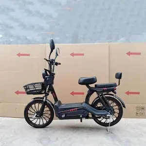 Two-wheeled Electric Bike :Model:Free Wind