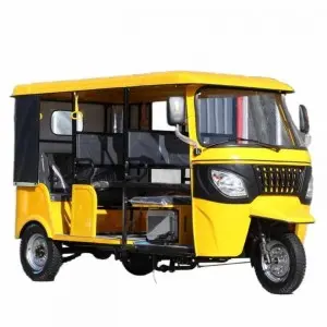 Electric  Passenger Tricycle 7 Seater Tuk Tuk 3 Wheel Motorcycle  (S3 Advanced Iron Frame)