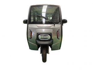 Electric Tricycle Fully Enclosed Trike Passenger Tricycle for Family Use（DK12)