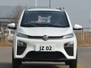 Color Customized Cheap Price High Speed Electric Vehicle（JZ 02)