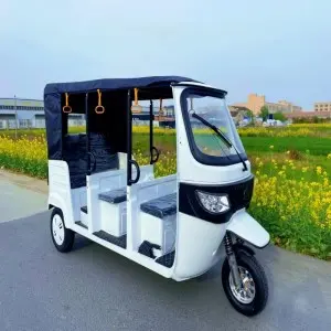 Electric  Passenger Tricycle 9 Seater Tuk Tuk 3 Wheel Motorcycle (S3 – Iron Frame)