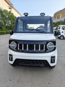 Electric four -wheel car Fully Enclosed  Passenger  Family Use（CJ-DH04)