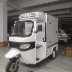 Electric Tricyle Car Freezer Box for Cold Chain Delivery