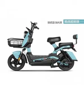 Two-wheeled Electric Bike :Model: Cool Battle