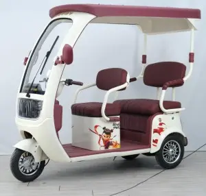 New Model 3 Wheels Electric Passenger Tricycles Three Wheel for Adult  Luxury Tuk-tuk (3-seater)