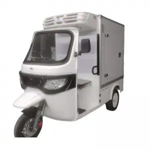 Electric Tricyle Car Freezer Box for Cold Chain Delivery