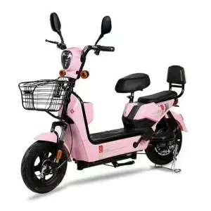 Two-wheeled Electric Bike :Model: Gold Egle
