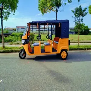 Electric  Passenger Tricycle 7 Seater Tuk Tuk 3 Wheel Motorcycle  (S3 Advanced Iron Frame)