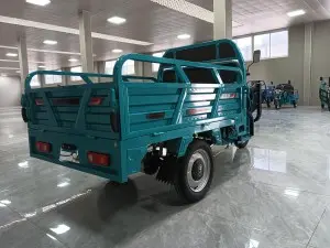 Hot Selling Cargo Electric Tricycle 1.6 meters of homemade hemp steel