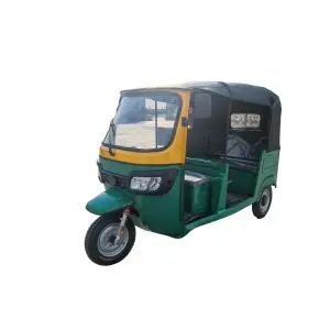 Electric Three-Wheel Passenge Tuktuk Taxi