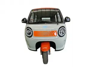 Electric Tricycle Fully Enclosed Trike Passenger Tricycle for Family Use（DK08)