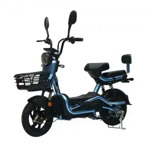 Two-wheeled Electric Bike :Model: Elegance