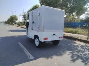 Electric Tricycle with Cabin Closed Cargo Box for Delivery
