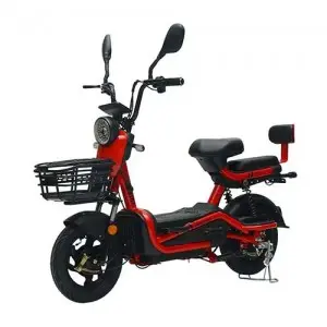 Two-wheeled Electric Bike :Model: Elegance