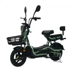Two-wheeled Electric Bike :Model: Elegance