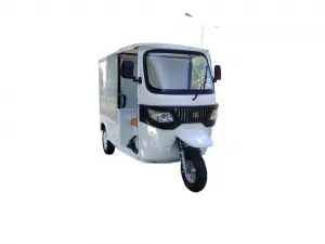 Electric Tricycle with Cabin Closed Cargo Box for Delivery