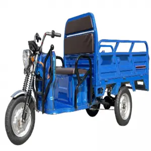 Hot Selling Cargo Electric Tricycle 1.6m Standard (Overbearing Door Invisible Backrest)