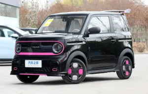 Geely Panda 2024 Model