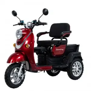 Two-wheeled Electric Bike :Model: Display