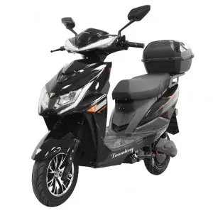 Two-wheeled Electric Bike :Model: Warwolf