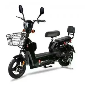 Two-wheeled Electric Bike :Model: Gold Egle