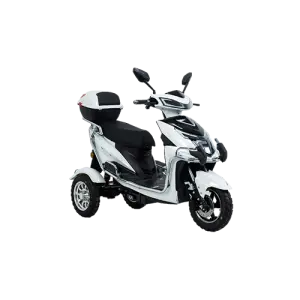 Two-wheeled Electric Bike :Model: Display