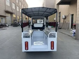 White Side seat passenger vehicle Electric Tricycle