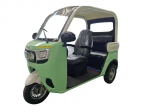 Electric Tricycle Fully Enclosed Trike Passenger Tricycle for Family Use（DK09)