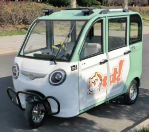 5-door tricycle