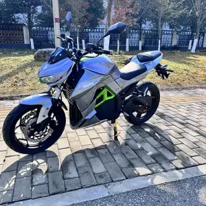 Two-wheeled Electric Bike :Model: Constrictor