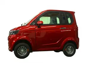 Electric Tricycle Fully Enclosed Trike Passenger Tricycle for Family Use（NG-H02)