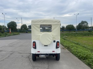 New Model 3 Wheels Electric Passenger Tricycles Three Wheel for Adult(Audi Face Tricycle(6-seater)