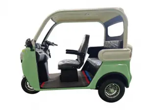 Electric Tricycle Fully Enclosed Trike Passenger Tricycle for Family Use（DK09)