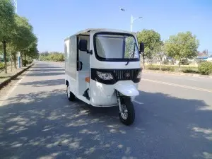 Electric Tricycle with Cabin Closed Cargo Box for Delivery