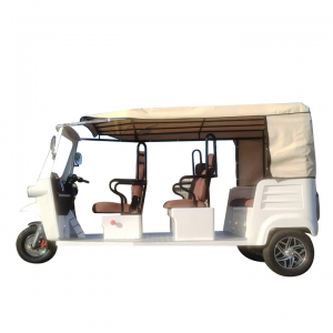New Model 3 Wheels Electric Passenger Tricycles Three Wheel for Adult(Audi Face Tricycle(6-seater)